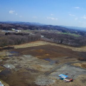 平成３１年３月６日